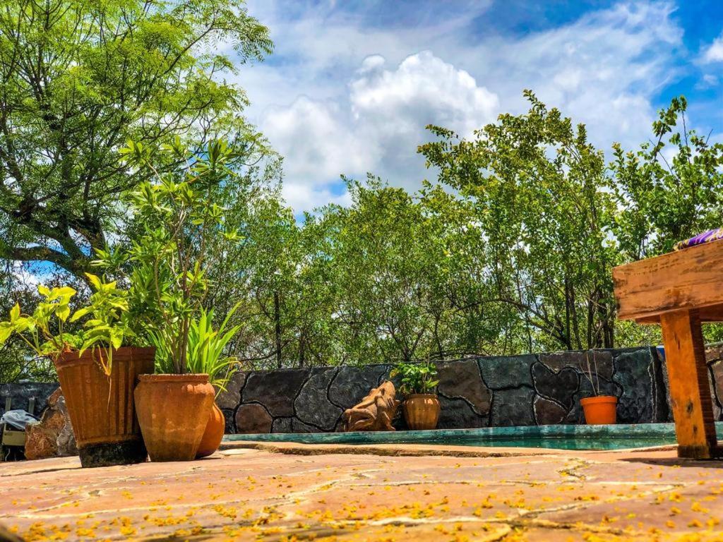 Lesoma Valley Lodge Kasane Εξωτερικό φωτογραφία